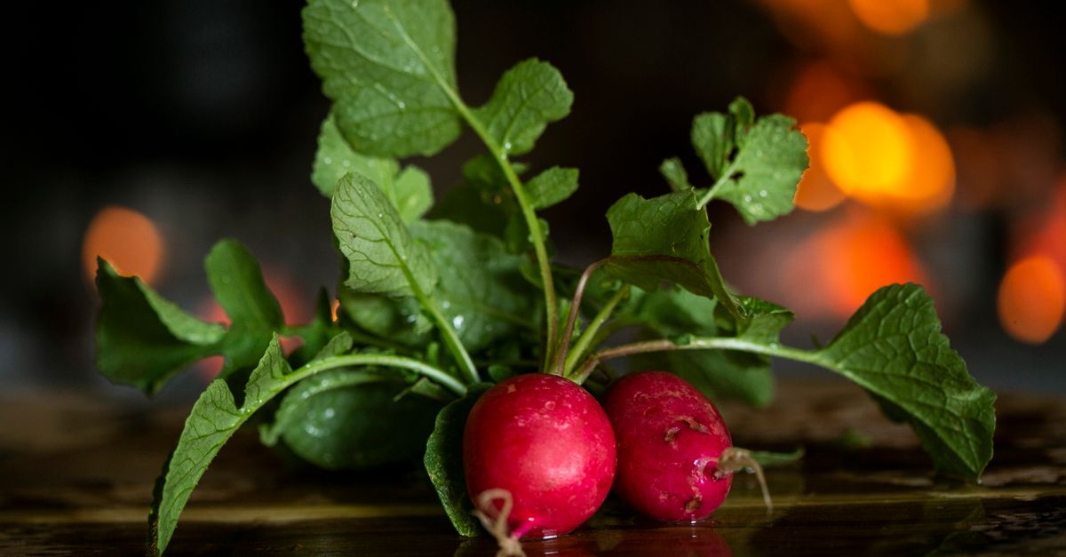 découvrez une recette saine et savoureuse de soupe aux fanes de radis, idéale pour profiter de toutes les saveurs et bienfaits des légumes verts.