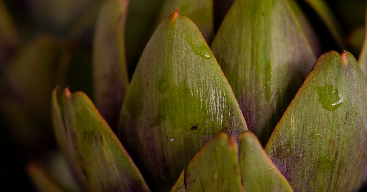 découvrez les bienfaits de l'artichaut pour la santé : amélioration de la digestion, riche en antioxydants, soutien du foie et bien plus encore.