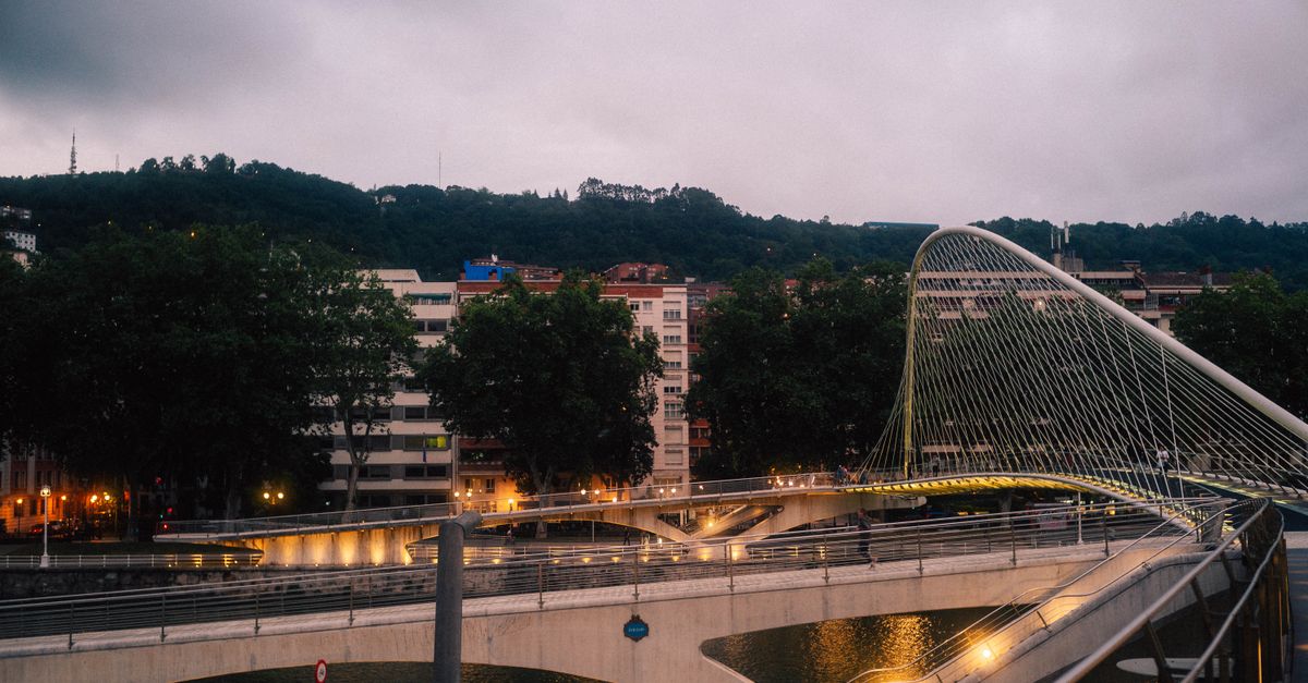 découvrez notre recette authentique de chipirones à la basque, des calamars tendres cuisinés avec une sauce riche en saveurs méditerranéennes typiques du pays basque.
