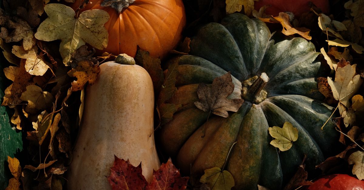 découvrez une recette savoureuse de gratin de butternut, alliant douceur et gourmandise, parfaite pour réchauffer vos repas d'automne et d'hiver.