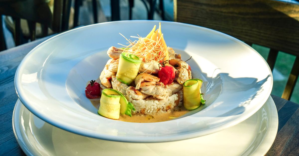 découvrez notre recette traditionnelle de fricassée de poulet, un plat français savoureux et réconfortant, parfait pour un repas en famille.