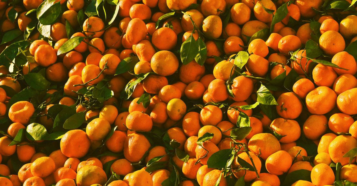 découvrez notre délicieuse confiture de clémentines, préparée avec des fruits frais pour un goût naturel et sucré. parfaite pour vos petits déjeuners et desserts.