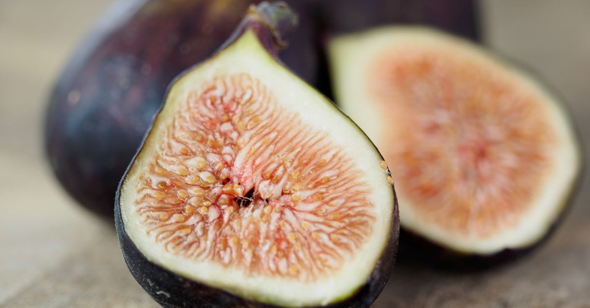 découvrez fig jam, l'outil collaboratif de création de diagrammes et de brainstorming en ligne, idéal pour stimuler la créativité de votre équipe.
