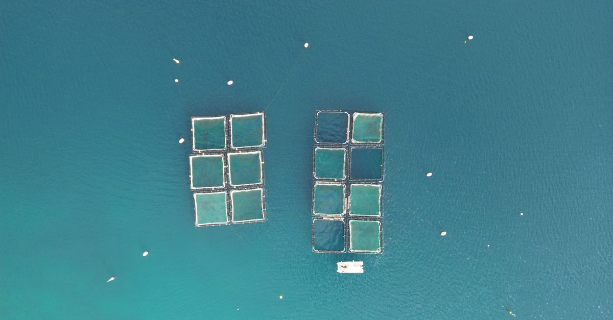découvrez les îles flottantes, des formations naturelles fascinantes suspendues au-dessus de l'eau, offrant des paysages uniques et une biodiversité remarquable.