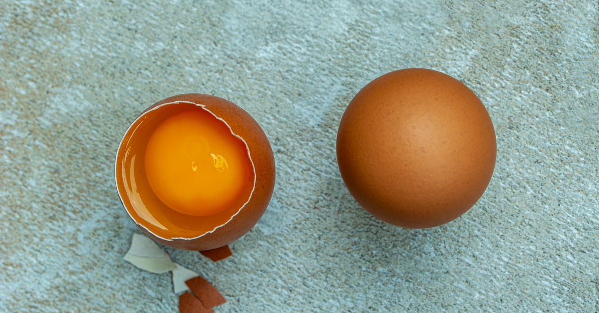 découvrez notre recette maison de flan aux œufs entiers, une douceur crémeuse et onctueuse parfaite pour toutes les occasions.