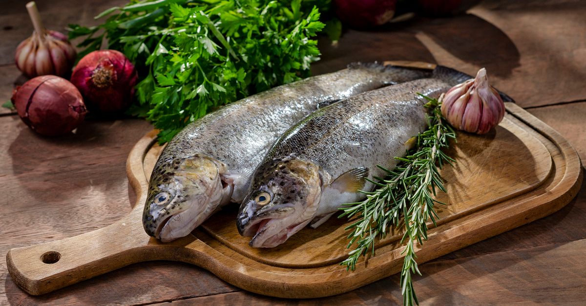 découvrez notre délicieuse rillette de truite, une spécialité savoureuse et raffinée, parfaite pour vos apéritifs et repas gourmands.