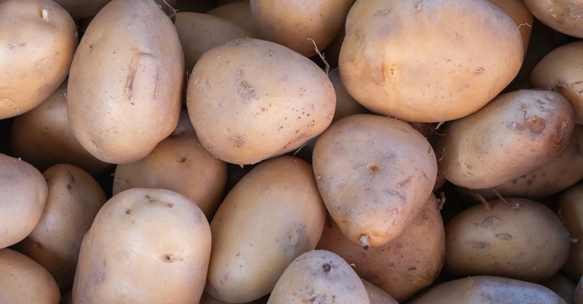 découvrez des méthodes efficaces pour empêcher la germination des pommes de terre et conserver leur fraîcheur plus longtemps.