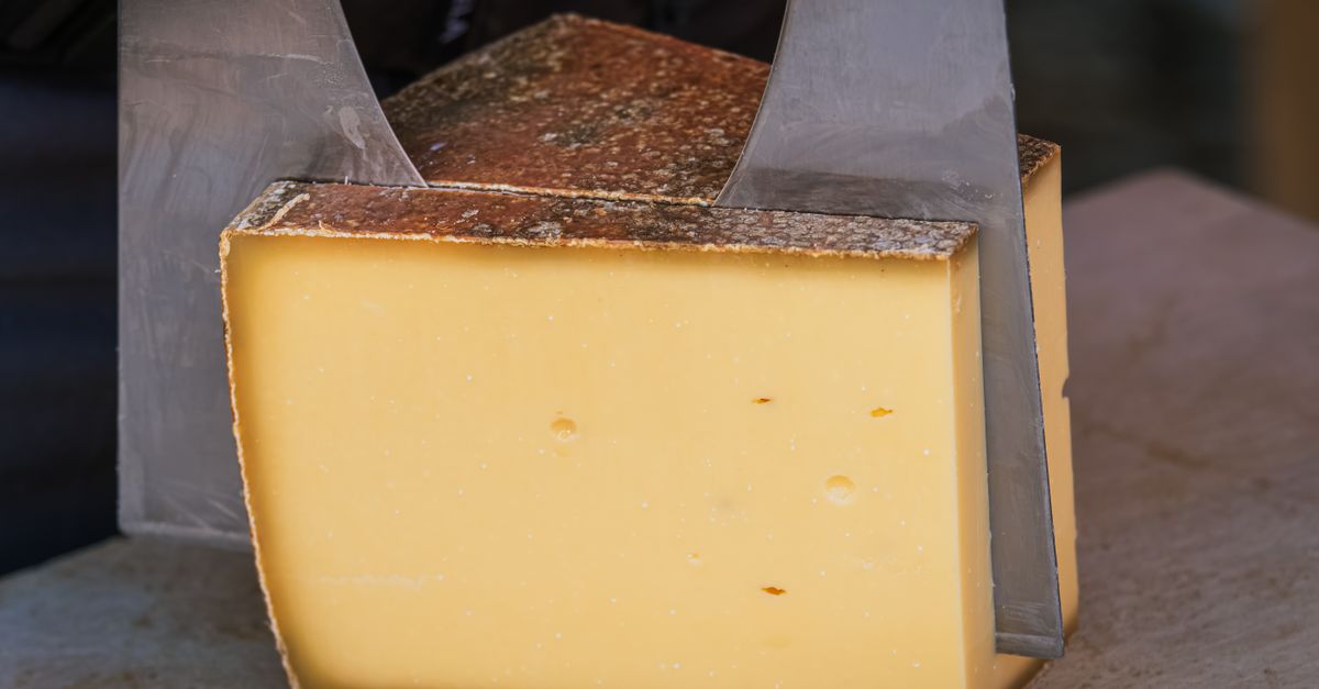 découvrez tout sur le fromage à raclette : son origine, ses caractéristiques, et comment le savourer fondu pour des repas conviviaux et chaleureux.