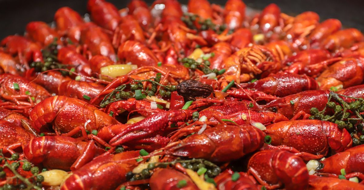 découvrez une recette unique de choucroute aux fruits de mer, alliant saveurs marines et tradition alsacienne pour un plat savoureux et original.