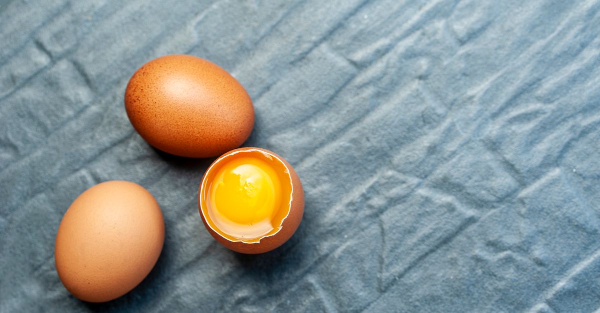 découvrez nos recettes savoureuses à base de jaune d'œuf pour sublimer vos plats et ravir vos papilles.