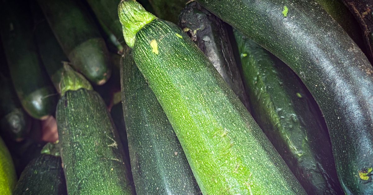 découvrez notre recette fraîche et savoureuse de tartare de courgette, parfaite pour une entrée légère et pleine de saveurs estivales.