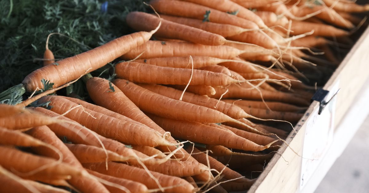 découvrez les meilleures méthodes pour conserver les carottes fraîches plus longtemps, que ce soit par réfrigération, congélation ou conservation naturelle.