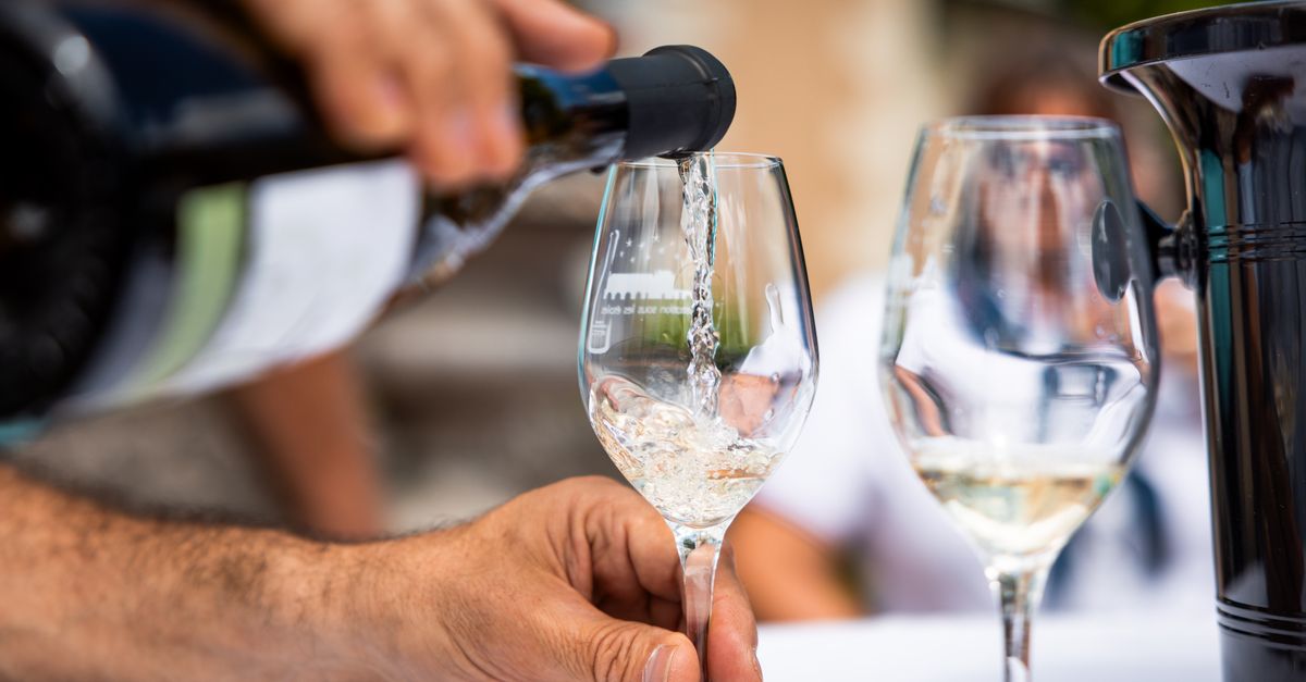 découvrez notre sélection de crémants raffinés, des vins effervescents parfaits pour vos célébrations et moments de convivialité.