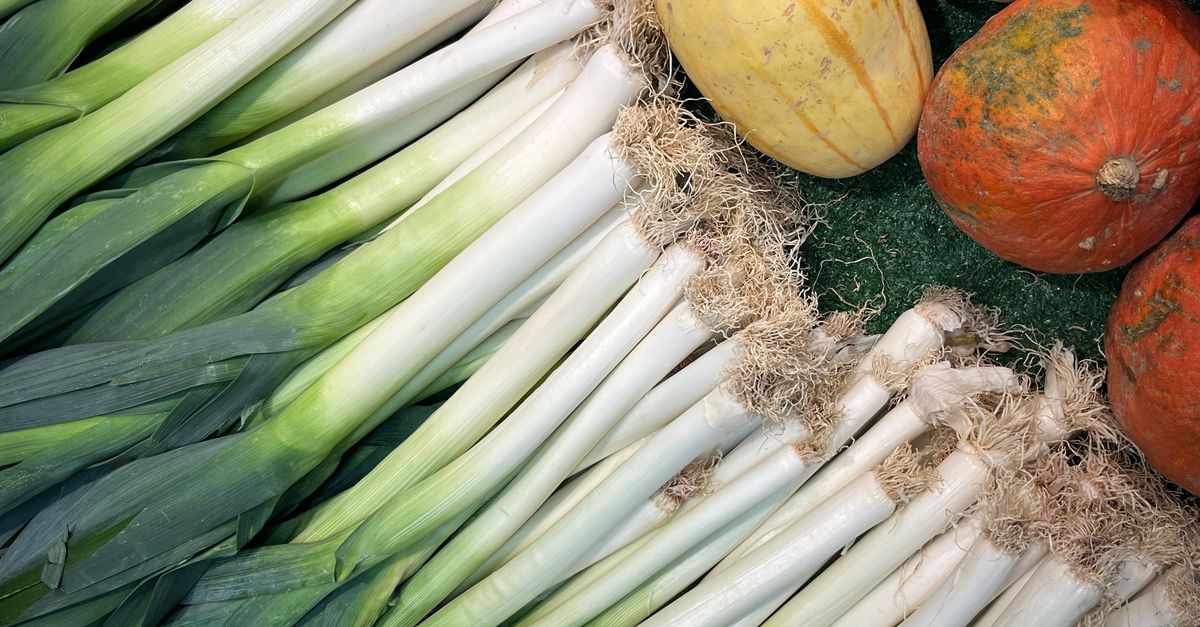 apprenez comment congeler des poireaux frais pour préserver leur saveur et leur texture, et les utiliser facilement dans vos recettes toute l'année.