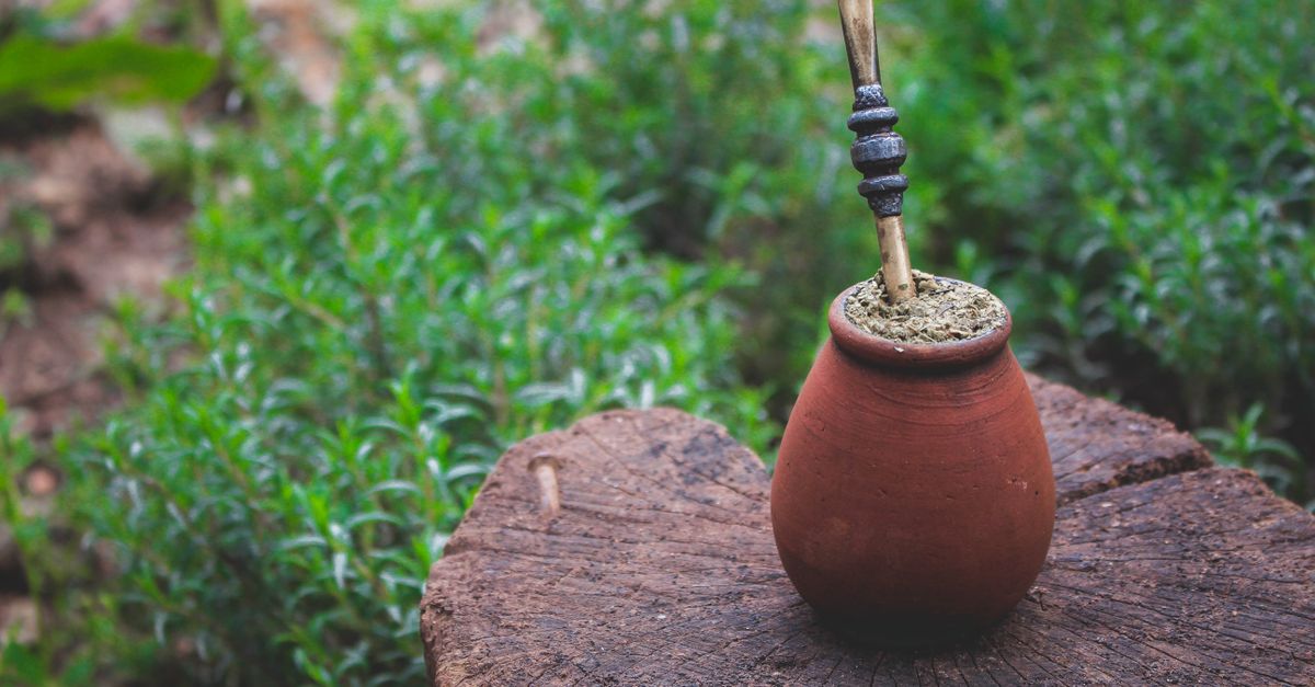 découvrez tout ce qu'il faut savoir sur la préparation du maté, de la sélection des feuilles à l'infusion parfaite pour savourer cette boisson traditionnelle sud-américaine.