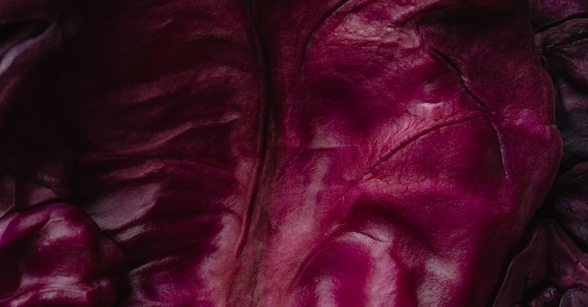 découvrez notre recette facile et savoureuse de tarte au chou rouge, un plat coloré et original pour régaler vos papilles.
